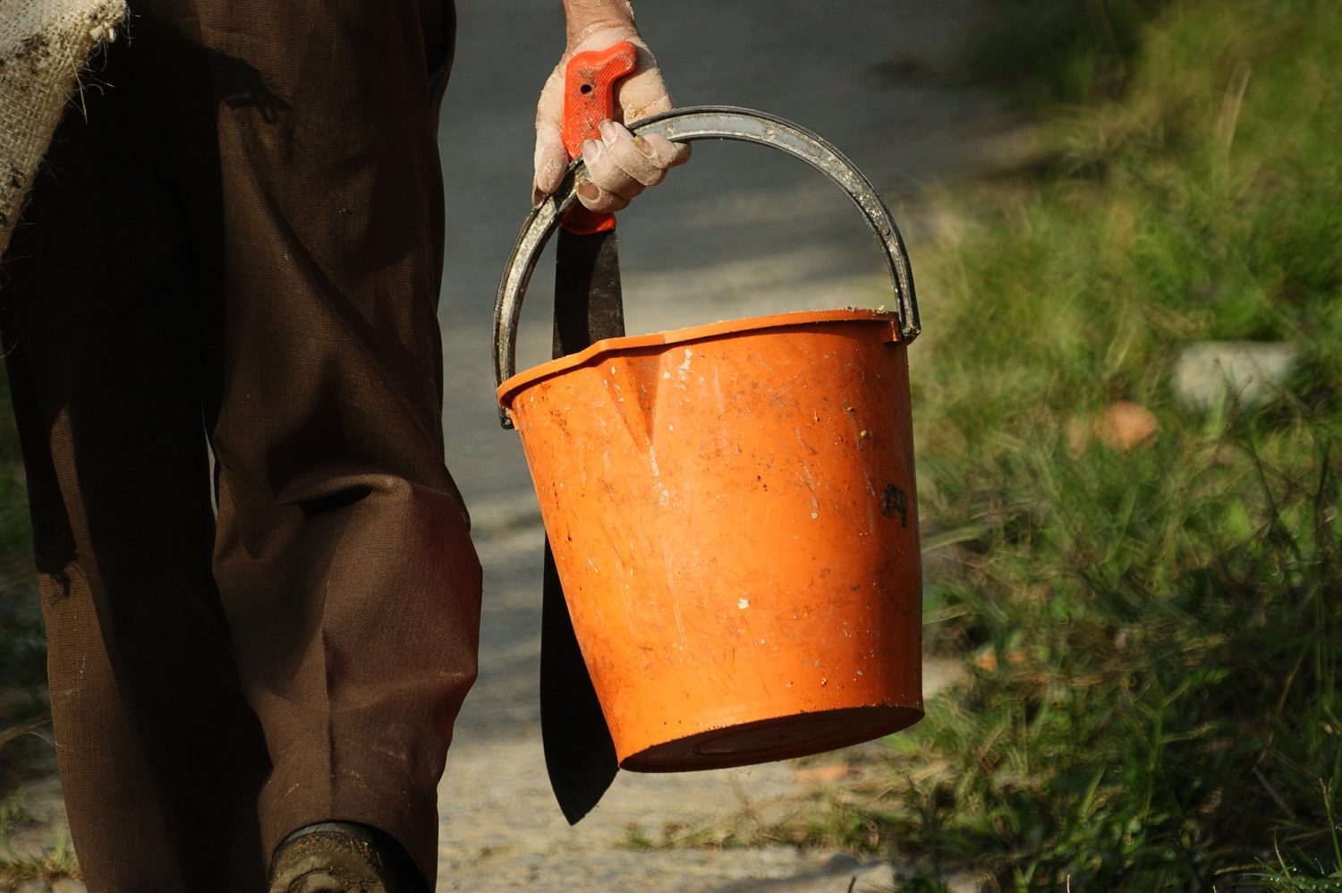 Best Machetes for Survival Backdoor Survival