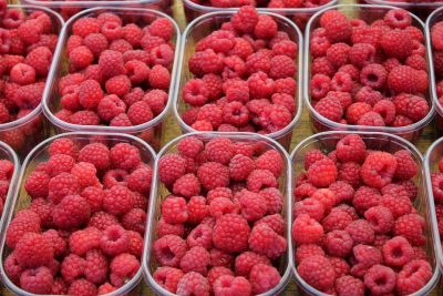 raspberry berries red