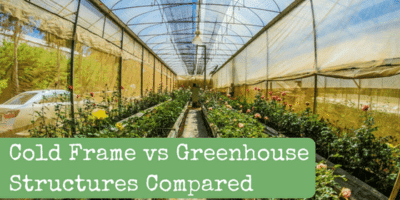 Cold Frame vs Greenhouse Structures Compared
