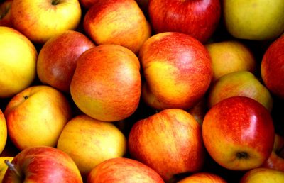 apple fruit