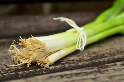spring onion green