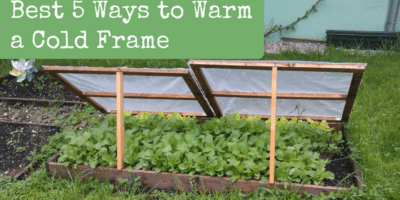 Best 5 Ways to Warm a Cold Frame