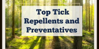 Best Tick Repellents and Preventatives