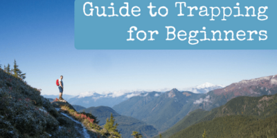 Guide to Trapping for Beginners