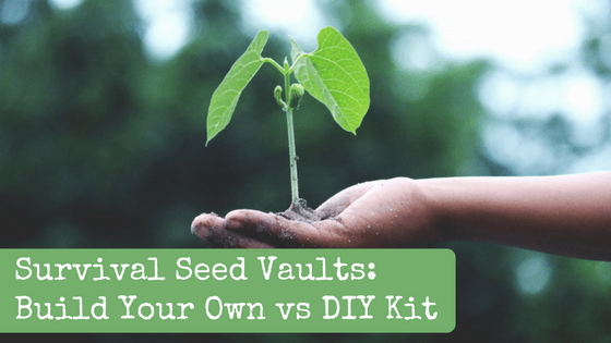 Survival Seed Vaults: Build Your Own vs DIY Kit