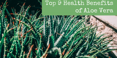 Top 9 Health Benefits of Aloe Vera