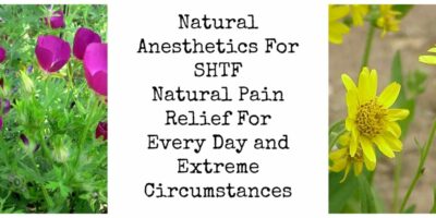 Natural Anesthetics For SHTF: Natural Pain Relief For Every Day and Extreme Circumstances