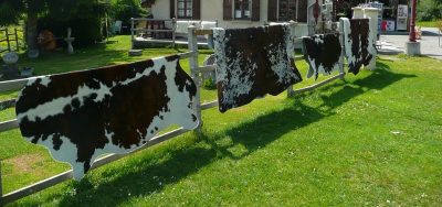 mountain skin cow animal