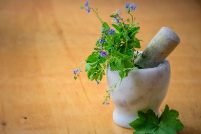 herbs-fresh