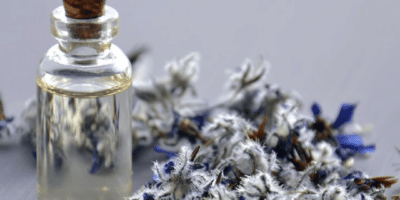 Become More Medically Self-Reliant: Put Essential Oils to Work for You
