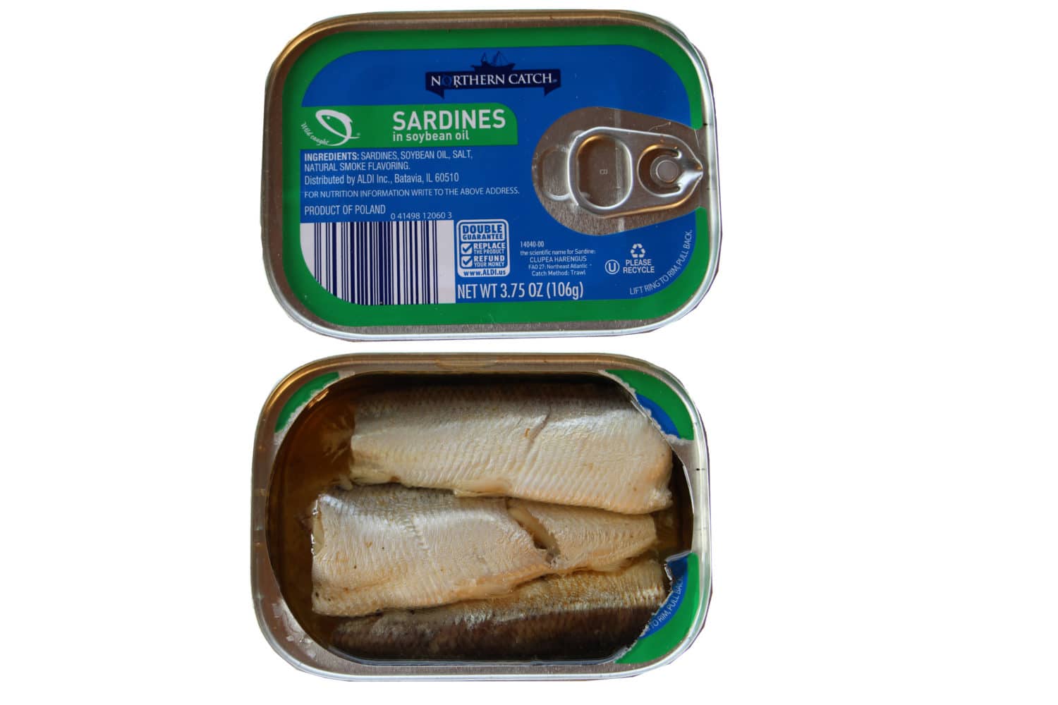 The Canned Sardine Showdown Backdoor Survival