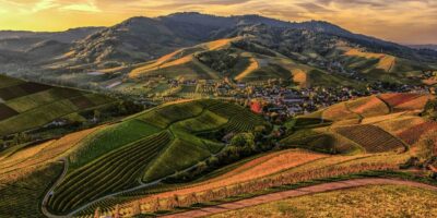 The Myth of Self Sufficiency & How To Set Realistic Goals In Town & Country