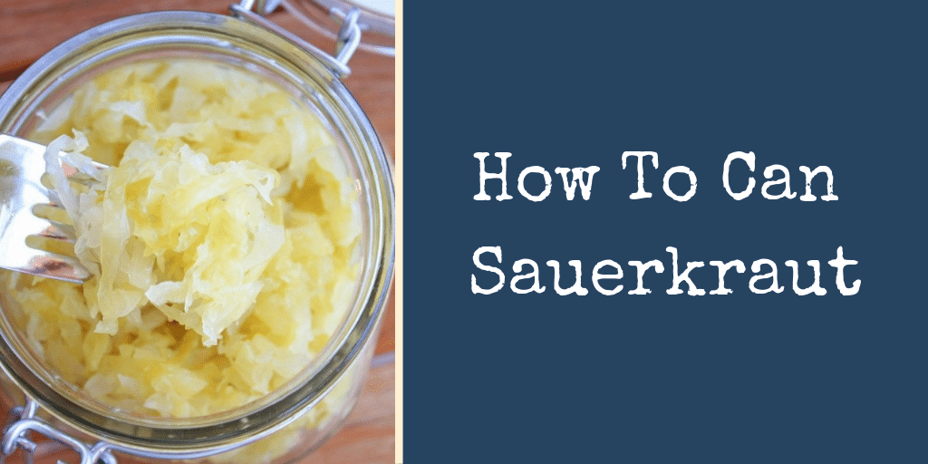 How To Can Sauerkraut Backdoor Survival