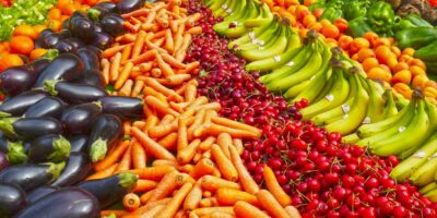 Exploring Food Preservation Methods