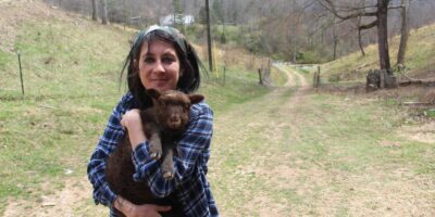 The Pros and Cons Of Mini or Dwarf Livestock