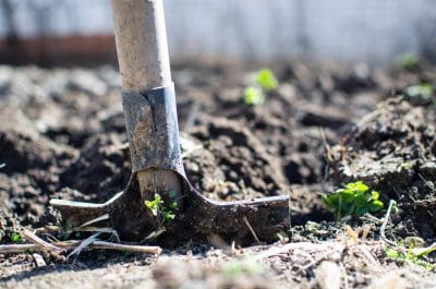 soil health