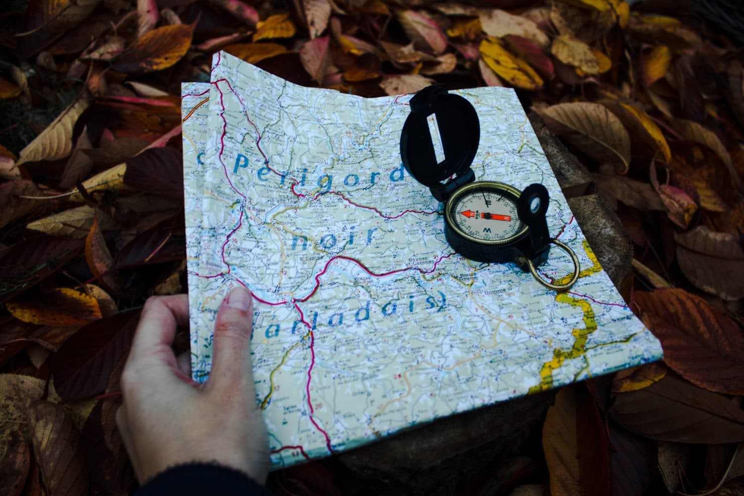 A map and compass to point you in the right direction.