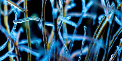 How To Survive an Ice Storm