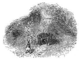 How To Make A Snare Trap To Catch Food Backdoor Survival How To Make A Snare Trap To Catch Food Backdoor Survival