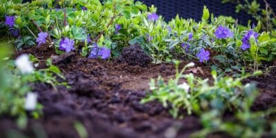 Finding The Best Soil Test Kit