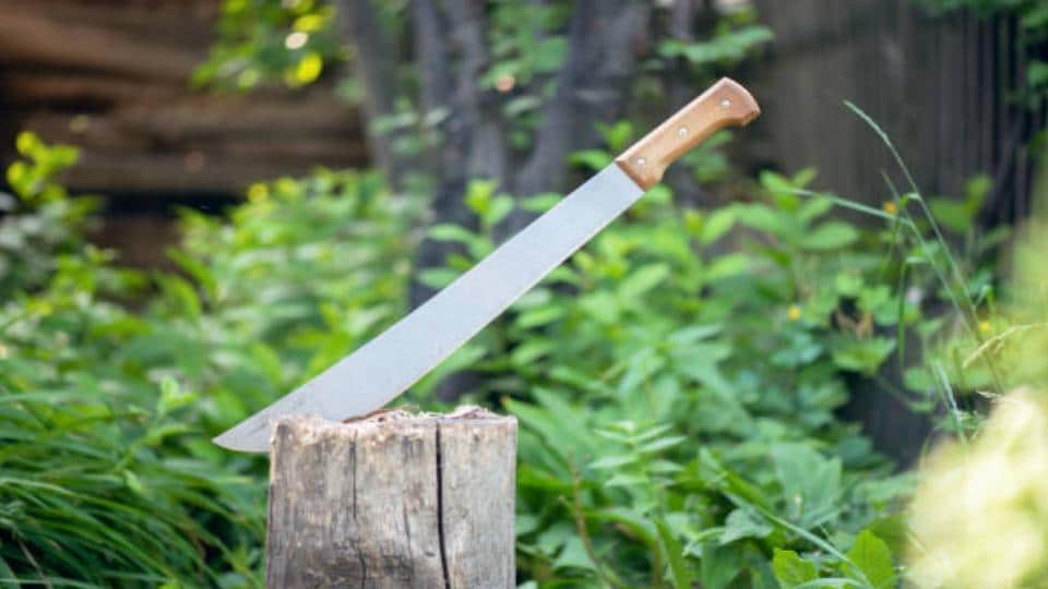 5 Best Machetes for Chopping Wood